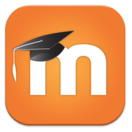 Moodle למרצה - בניית מבחן